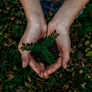 Compromisso com o Meio Ambiente