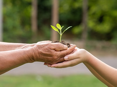 Pegada ecológica e meio ambiente: como se relacionam?